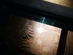 -汉景帝阳陵博物院