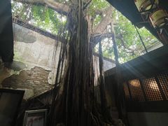 -文儒九号·闽菜馆(三坊七巷店)