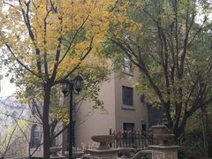 -天鹅湖生态旅游风景区