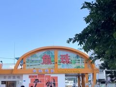 -鱼珠码头(轮渡站)