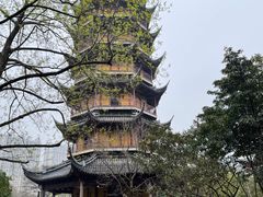 -红梅公园