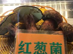 -易门野生菌府·菌海森林(月牙潭公园店)