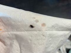 -唐河王记·南阳民间菜(国基路店)