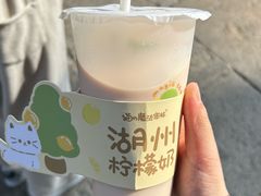 -猫的魔法密林(衣裳街店)
