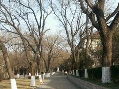 iphone_upload_pic-山东大学(趵突泉校区)