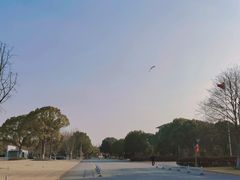 -东华大学(松江校区)