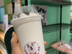 -Husky Go! 哈士奇体验馆·宠物咖啡厅狗咖