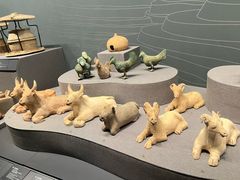 -广西壮族自治区博物馆