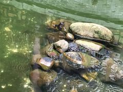 -韶山毛泽东同志故居