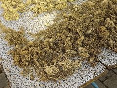 -沙湾姜埋奶(兴新包店)
