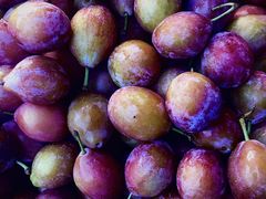 -红星农博物流中心