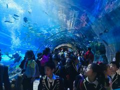 -华夏文旅海洋公园