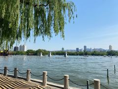 -济南大明湖景区