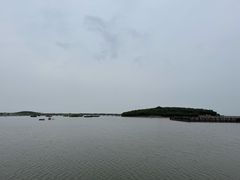 -南大港湿地风景区