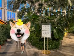 -中家鑫园温泉酒店鑫悦汤泉