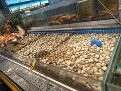 -一方渔歌蒸汽海鲜自助(文化路万达广场店)