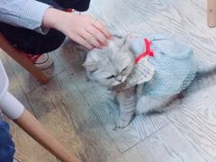 -小时光咖啡馆(北锣鼓巷店)