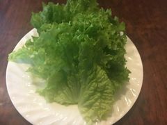 -锦江宾馆-花园餐厅