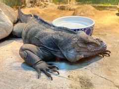 -上海昆虫博物馆