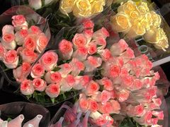 -循礼门鲜花花市(武汉循礼门店)