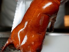 -三利音·浦之舟(滨江大道店)