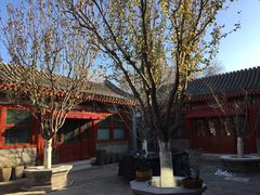 -北京古城老院厉晓麟精致菜