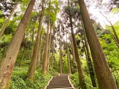 -青城山
