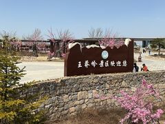 -王莽岭风景区