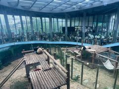 -大连森林动物园