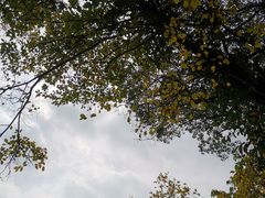 -上海市保健医疗中心