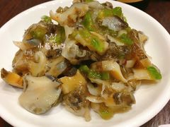 -ISLAND MASS岛·精酿吧