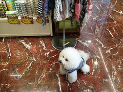 -多卡布奇宠物生活馆(上林世家店)