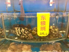 -渔中舟海鲜大排档(普陀沈家门店)