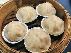 上海小笼包-伯乐居茶艺馆(石岐大信店)