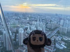 -上海龙之梦万丽酒店