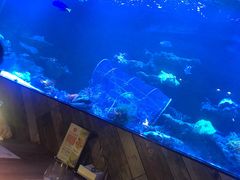 -暹罗酒肆泰餐厅酒吧