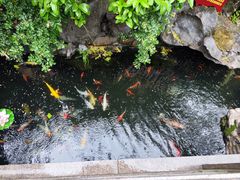 -西林禅寺