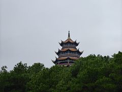 -铁山坪森林公园