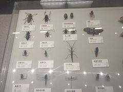 -四川大学博物馆