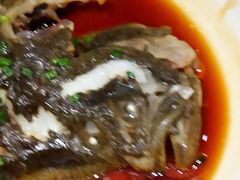 清蒸多宝鱼-蝶苑(吴江路店)