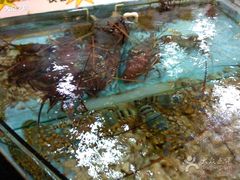 龙虾-大众海鲜加工大排档(金海湾大道店)