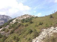-朱雀国家森林公园