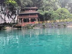 -广西壮族自治区药用植物园