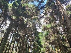 -罗田薄刀峰风景区