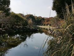 -昆山城市公园
