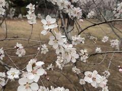 -莫子山公园