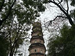 -惠州西湖风景名胜区-丰渚园