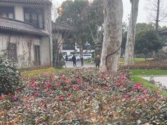 -杭州西湖柳莺里酒店·闻莺厅