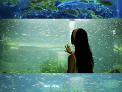 -海合安成都极地海洋公园
