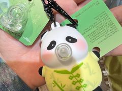 -轩客会(熊猫书店)
